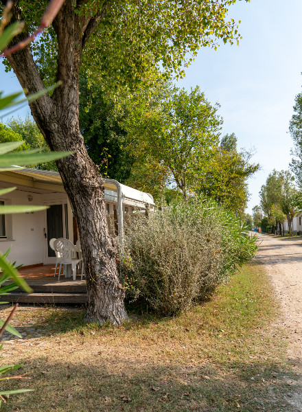 Bungalows tæt stranden - Cavallino | Camping