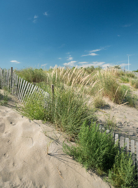 ca-savio-spiaggia-box-dx