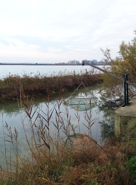 laguna-inverno-cavallino