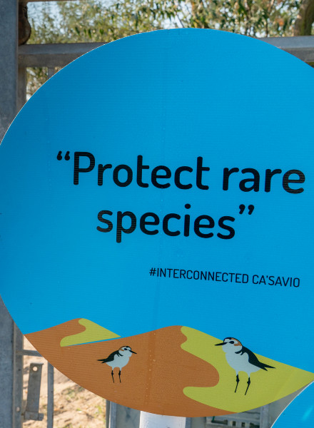 CaSavio_protect rare species