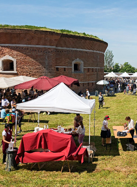 Sant'Erasmo_Torre_Massimiliana_Festa_del_carciofo_violetto