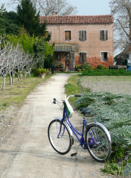 sant-erasmo-bicicletta