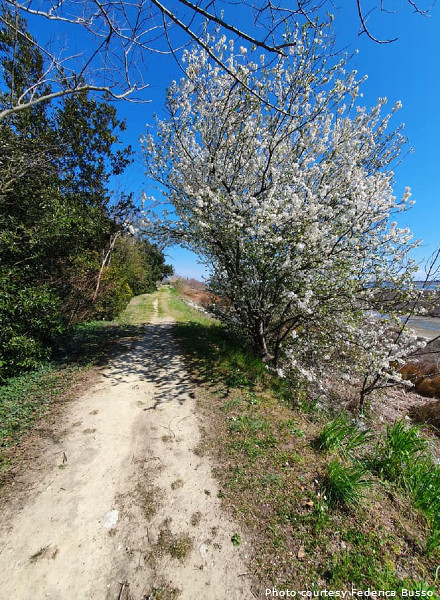 sant-erasmo_bicicletta_busso