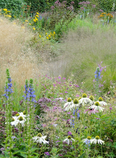 giardino sensoriale-primavera