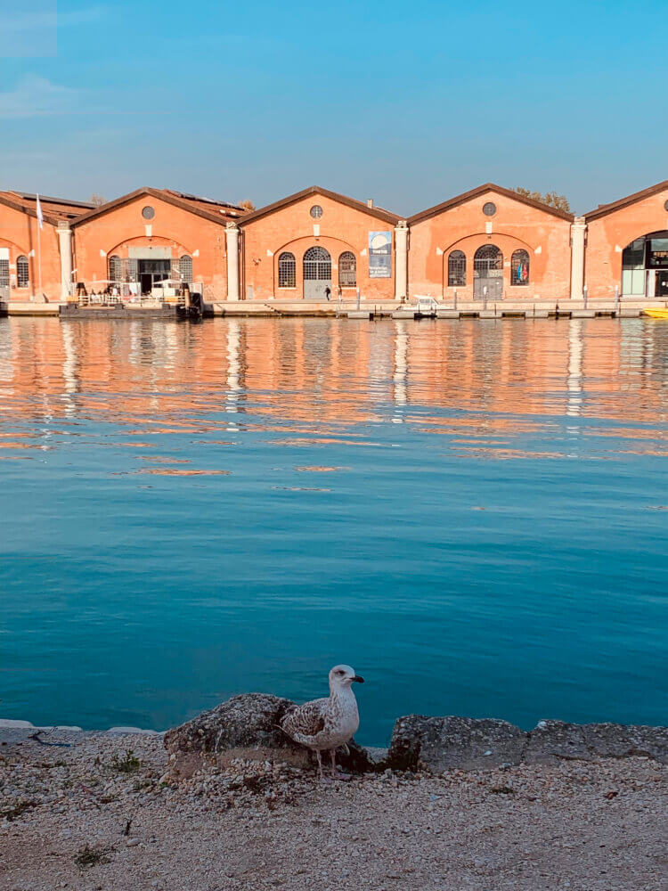 Biennale di Venezia 2024