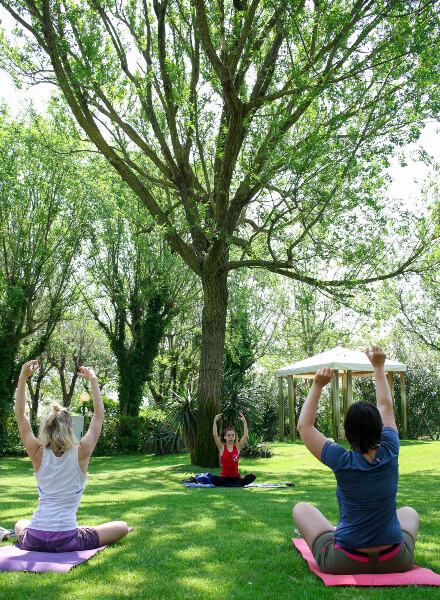 yoga_casavio_albero