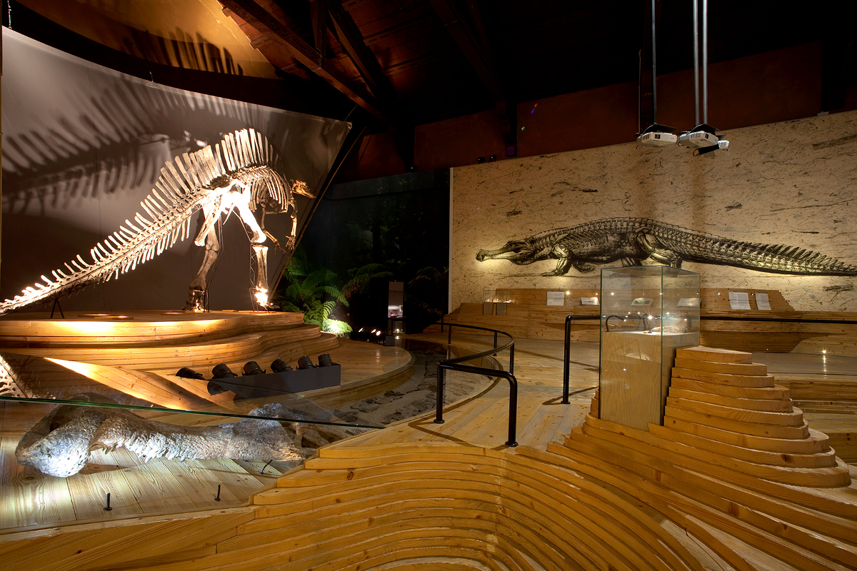 MUVE-MSN-Ligabue-Sala-Ligabue-Panoramica