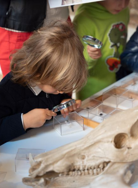 Mission-Biodiversita-laboratori_museo